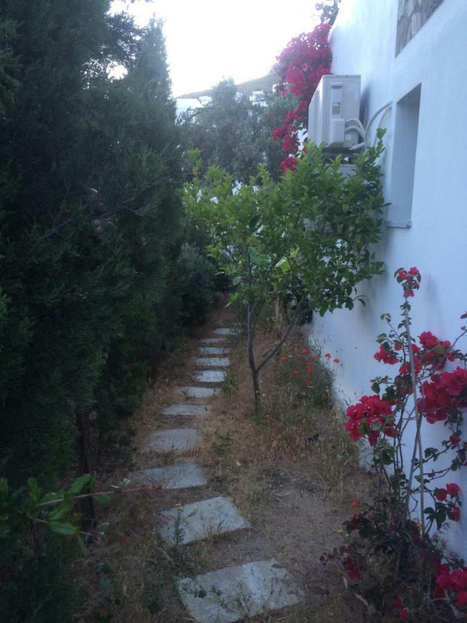 Livadakia Summer Dream , 5 Min Walk To The Beach מראה חיצוני תמונה